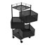 60cm H x 20cm W Utility Cart with Wheels