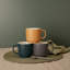 Waterside Matt Ribbed Mug Set