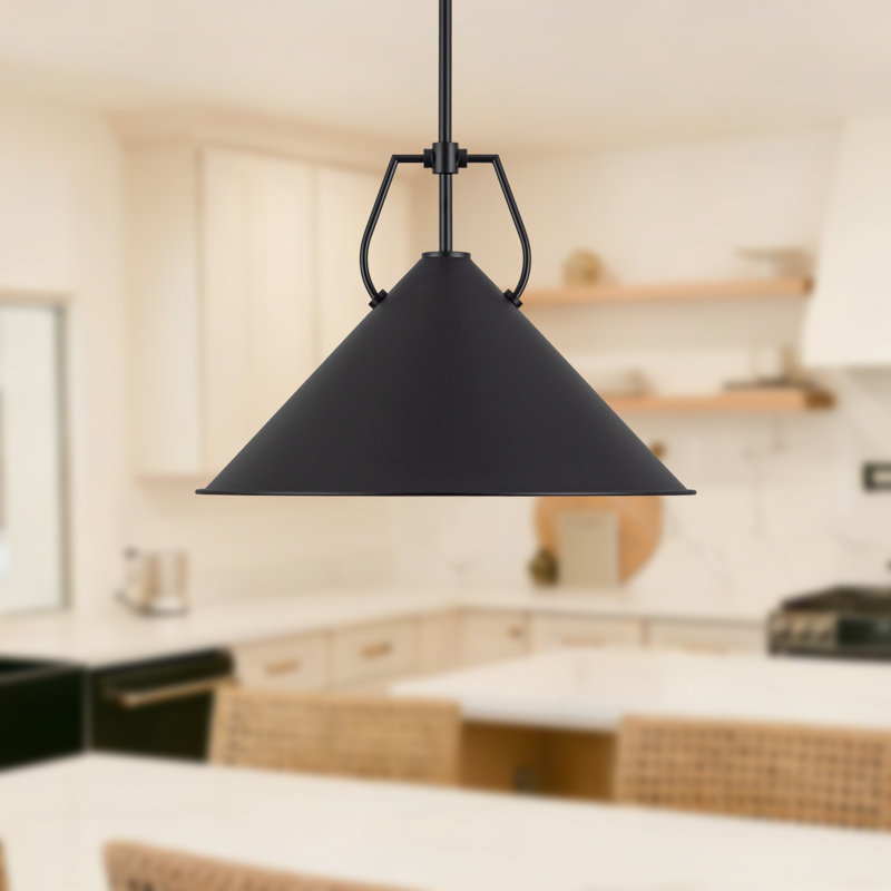 Luminaire suspendu 18 po noir, Noir