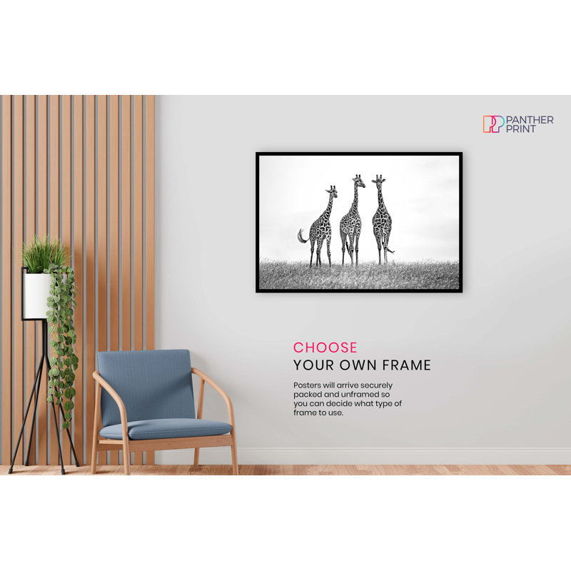 Giraffes Wildlife - No Frame Print, 20cm H x 31cm W x 0.5cm D