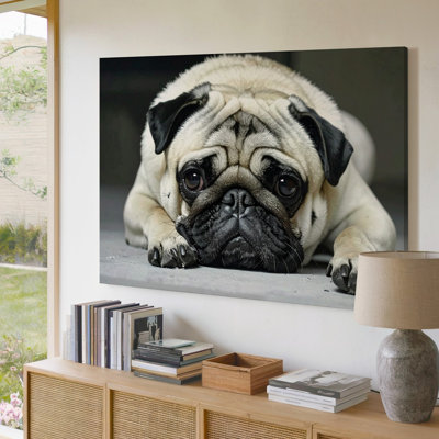 A Realistic Close Up Photograph Style Image Of Canvas A Pug Lying Flat On The Ground With Its Wall Art Premium Quality Ready To Hang