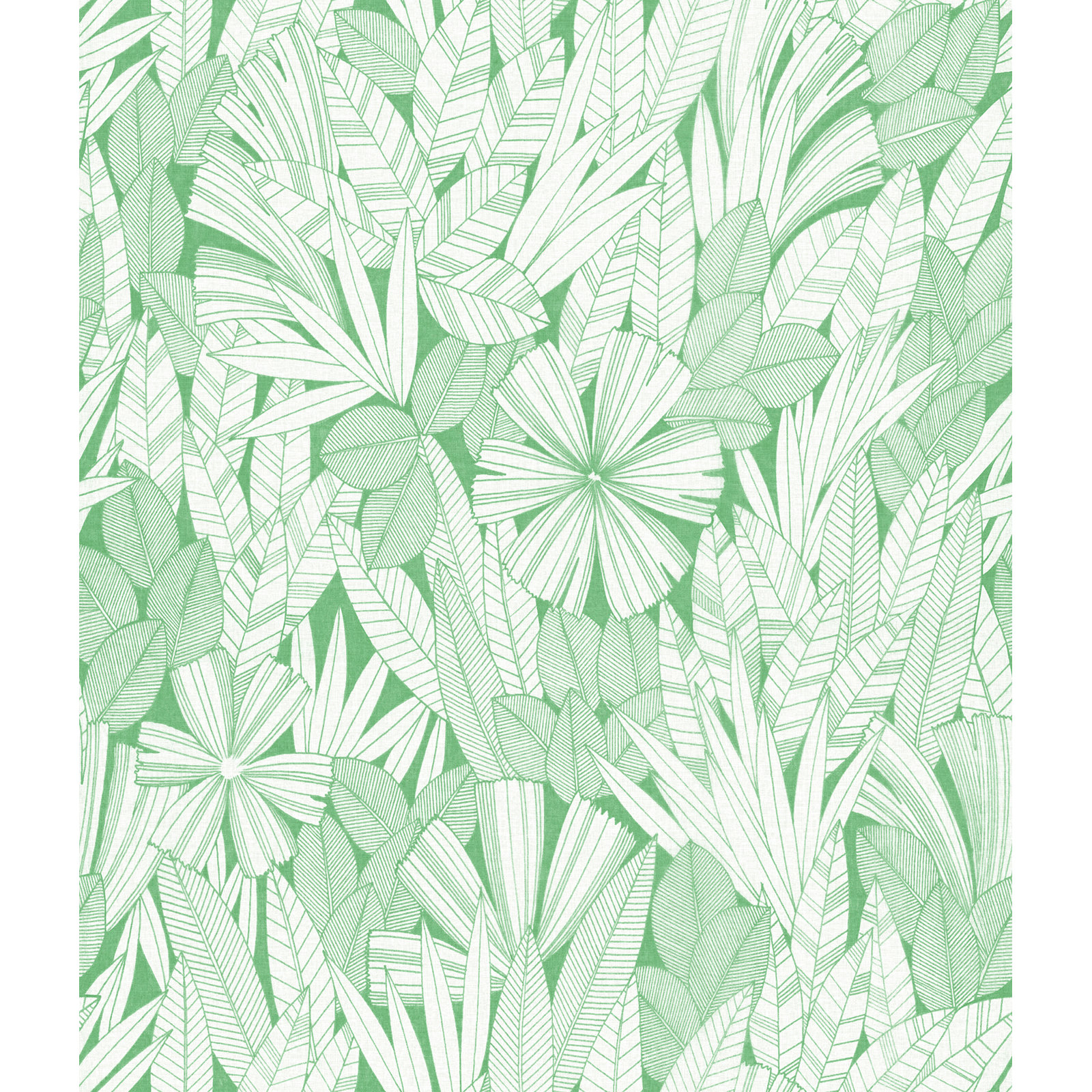 Avellana Botanical Wallpaper, Green