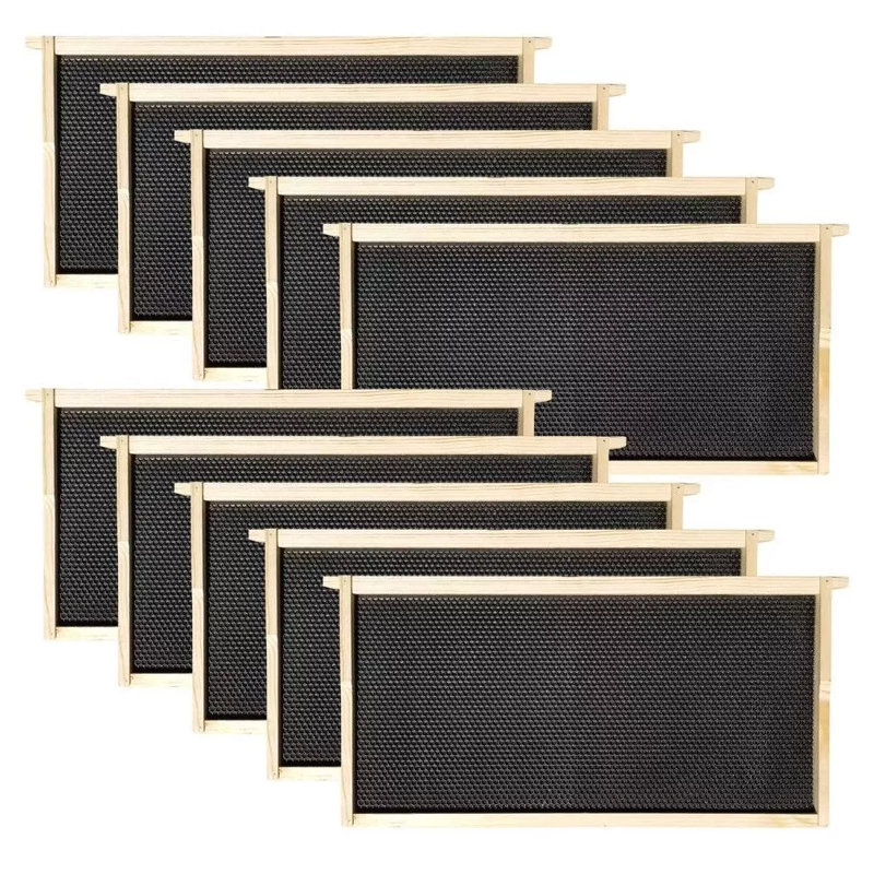 10 pièces Beehive Honey Hive Frame Bee Hives Bee Comb, Noir