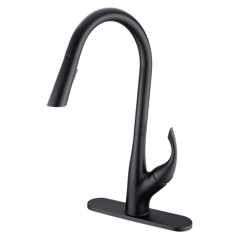 Robinet de cuisine 3 fonctions avec douchette extractible, poignée simple, noir mat, Matte Black
