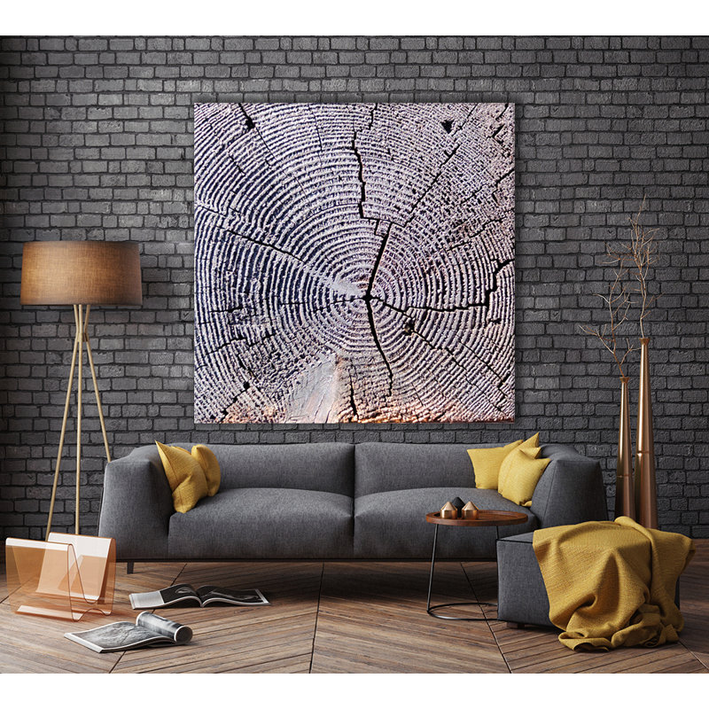 « age of time 2 », reproduction de photo sur toile tendue