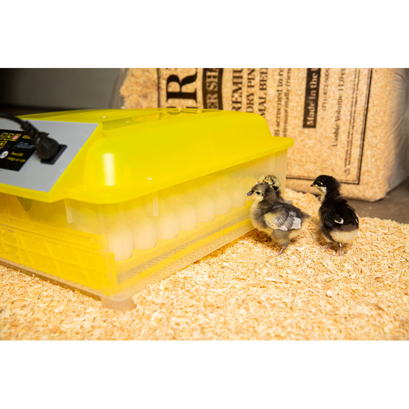 Demirose Chicken Egg Incubator For Up To 40+ Eggs