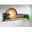 Turin Sheesham Solid Wood Accent Shelf-41159438
