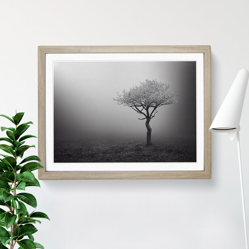 Lonely Tree - Single Picture Frame Print, 34cm H x 46cm W x 2cm D, Oak