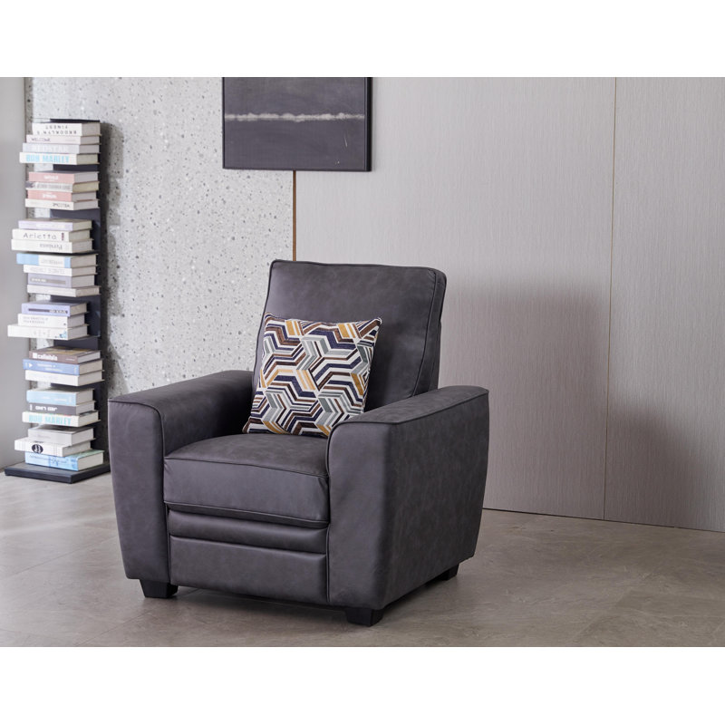 Fauteuil pour meubles de salon, Gris