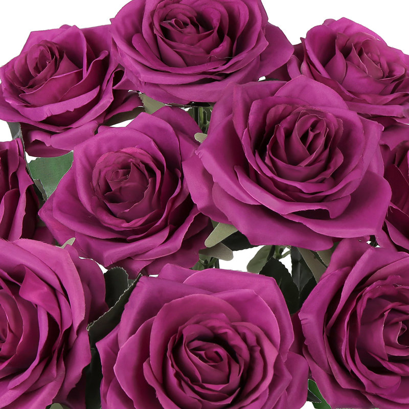 Grand rosier Jaafer Deluxe, Prune fuchsia