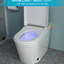 Toilette de bidet moderne et intelligente avec fonction - siège chauffant allongé, lavage à l'eau chaude, sécheuse, affichage à DEL, fonction avancée de nuit, chasse d'eau automatique