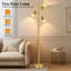 Lampe sur pied d'arbre avec 3 ampoules, lampes sur pied pour le bureau de la chambre à coucher, lampes de lecture debout avec 3 bras réglables, or brossé