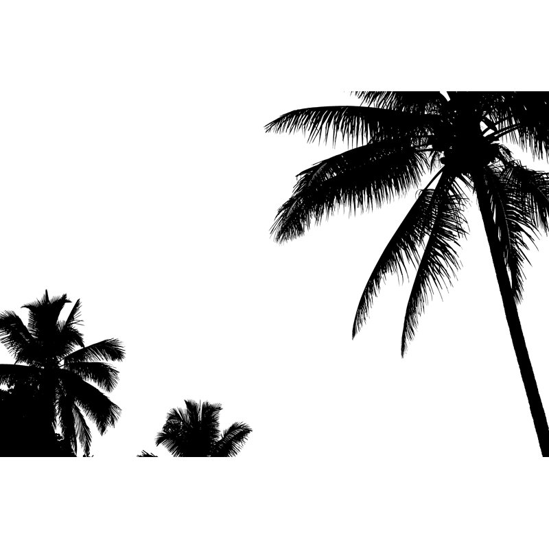 Palm Trees Silhouette by BentheBeeMan - Wrapped Canvas Print, 30cm H x 46cm W