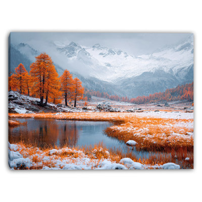 «Snowfield Ember Trees», art mural sur toile tendue