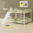 Metal Bunk Bed With Slide And Guardrails
