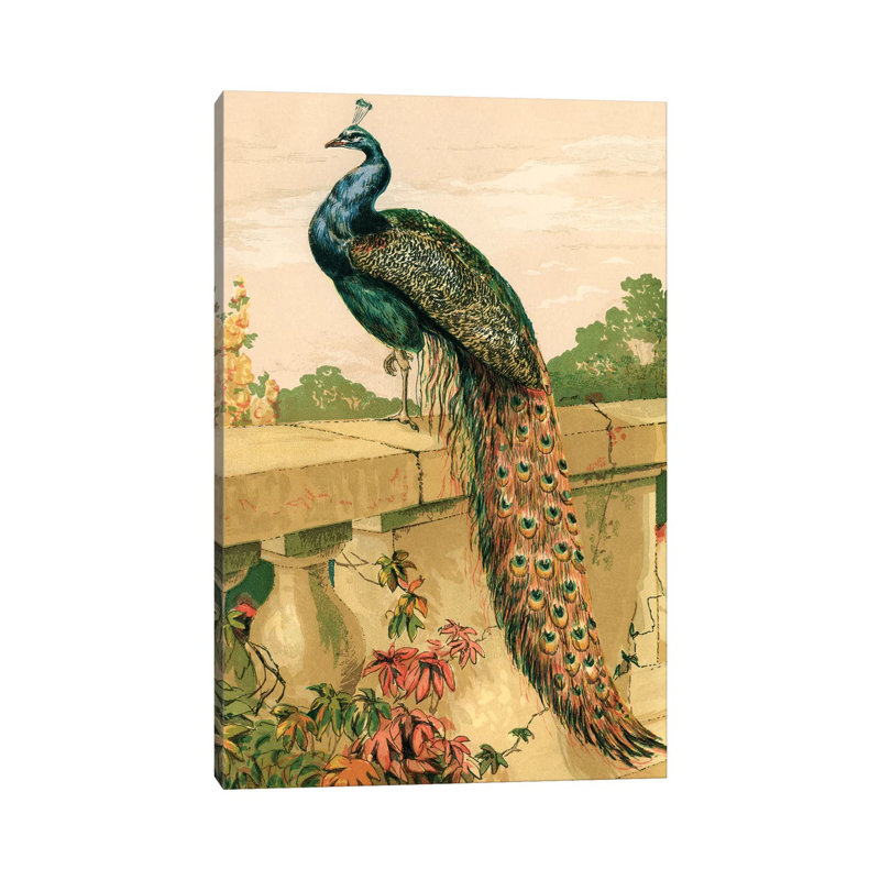 Peacock - Wrapped Canvas Print, 101.6 cm H x 66.04 cm W x 3.175 cm D
