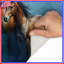 Tapis de bain Bay Horses-861238043