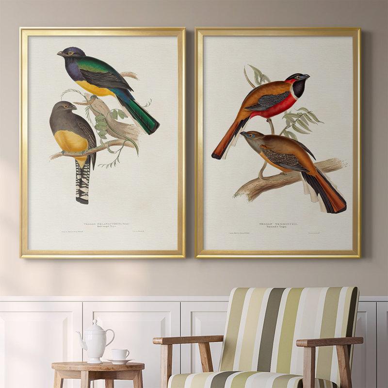 Toile encadrée de qualité supérieure Elegant Trogons III - prête à être accrochée, Or, H 42,5 po x l 61 po