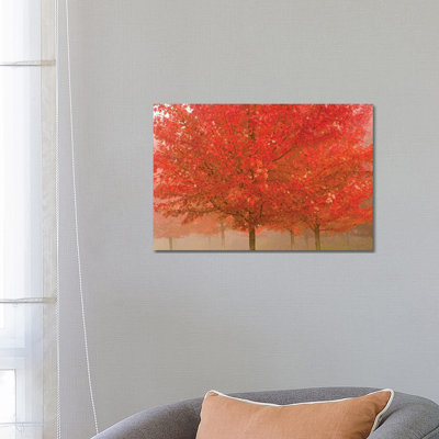 Foggy Morning Maples 1 Piece Wrapped Canvas Wall Art