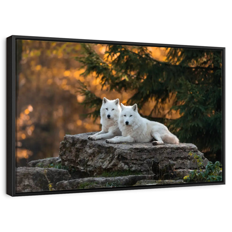 White Wolf Mates, 46 po x 31 po, Cadre flottant noir