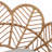 Kirk Outdoor Wicker Peacock Shape Papasan Style Chair, Teak Finished Leg, Light Brown Faux Rattan And Beige Cushion, Set Of 2