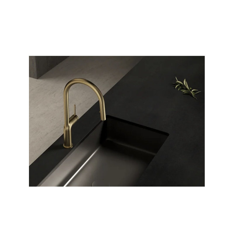 AvaMalis Pull Out Kitchen Faucet, Gold