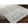 Mann Viscose Oriental Indoor Rug