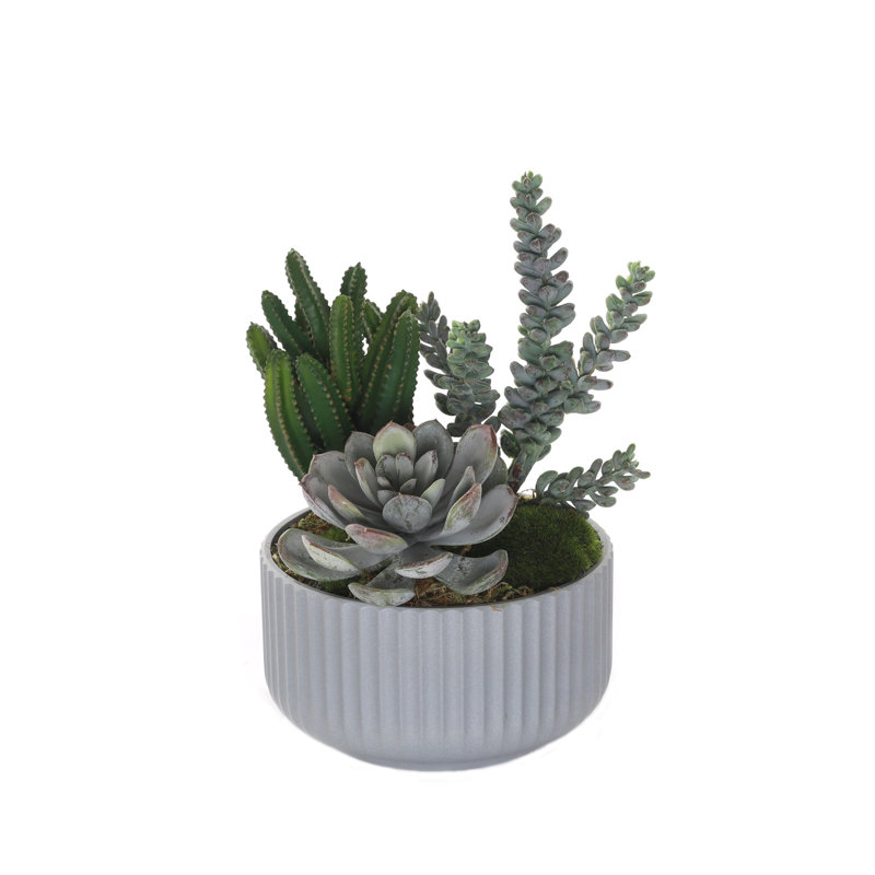 Faux Cactus Succulent in Pot