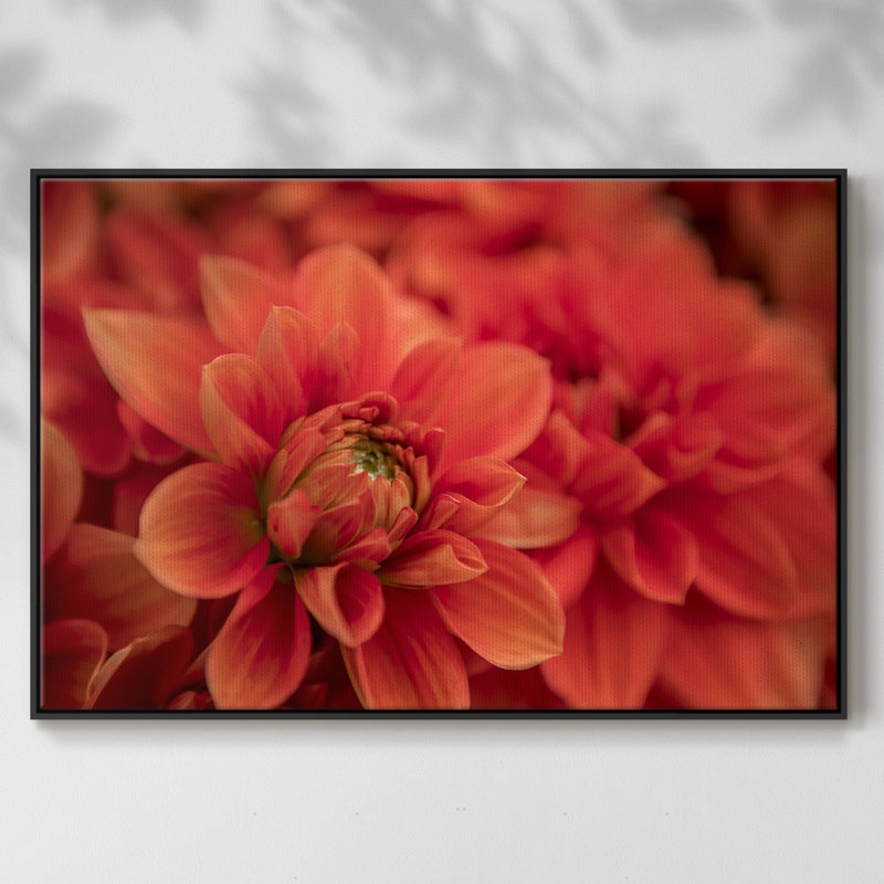 Printemps, impression sur toile tendue, Cadre noir, H 25 po x l 17 po x P 2 po