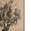 Arbre dessiné à la main sur toile texturée-92377588