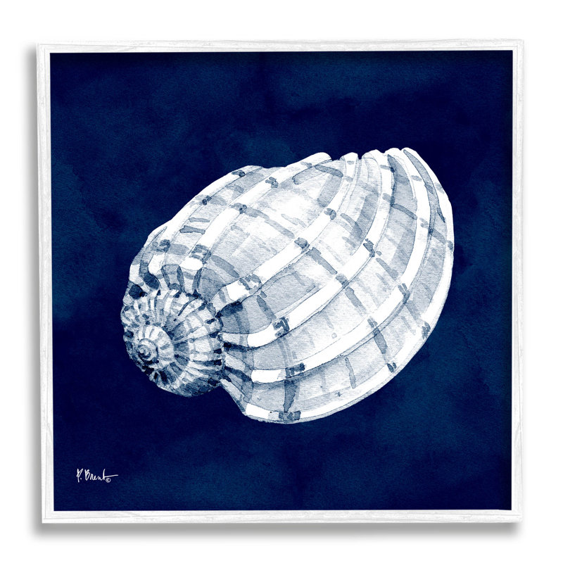 Illustration côtière des coquilles de cyanorphe par Paul Brent - peinture sur bois, H 12 po x l 12 po x P 1,5 po