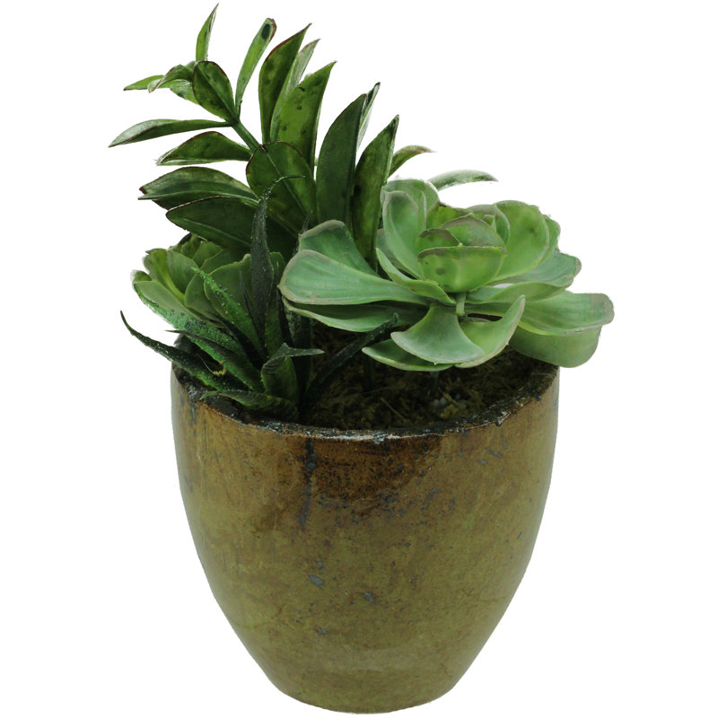 Plante grasse artificielle en pot 8,5 po