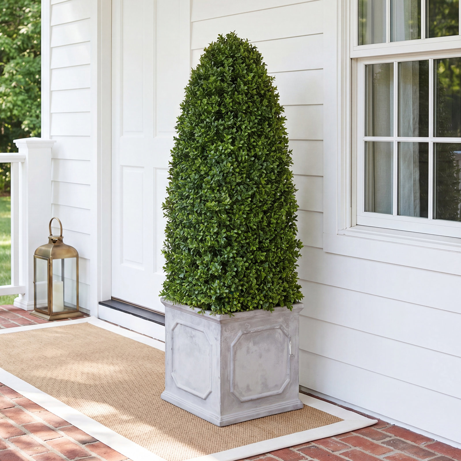 52" Boxwood Topiary in Planter