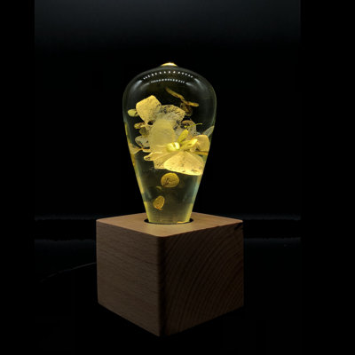 Solid Wood Novelty Lamp