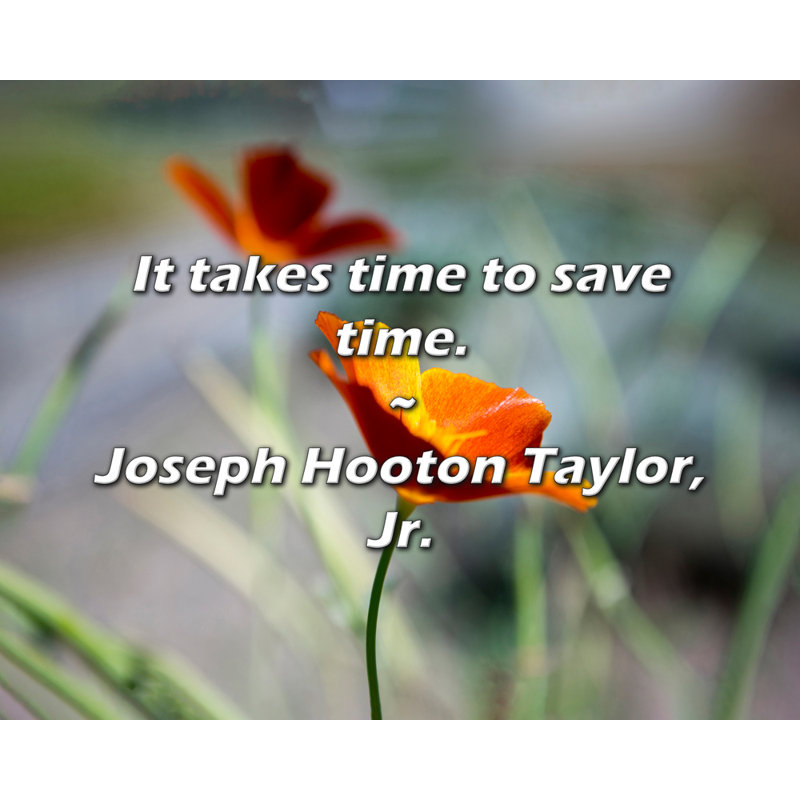 Joseph Hooton Taylor, Jr. Quote: It takes time to save time., 26" H x 32" W