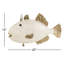 Trigger Fish