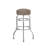 Piya Double Ring Chrome Barstool-49300370-100042154