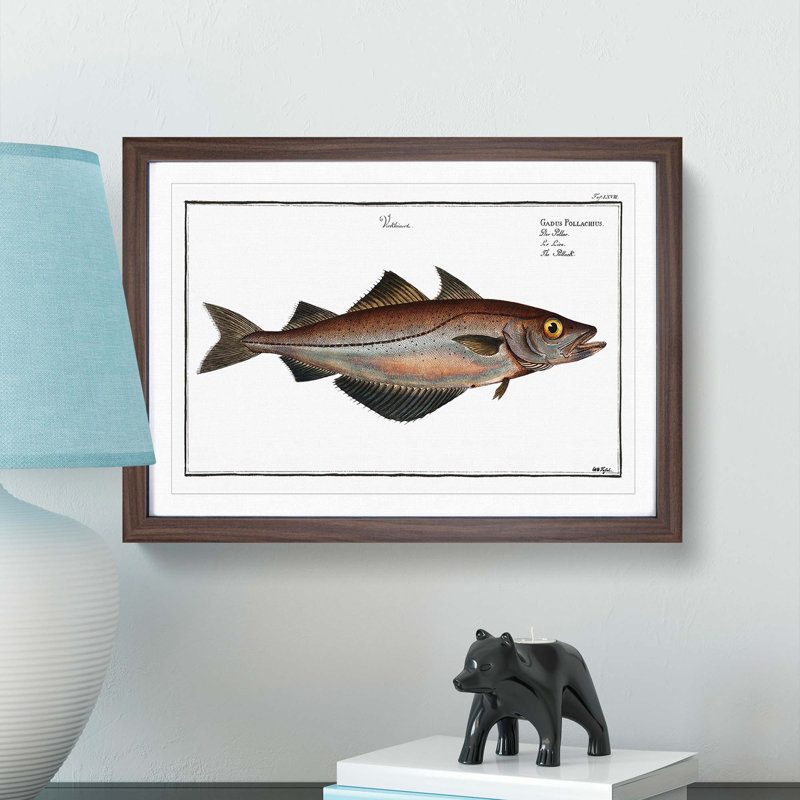 Pollock Fish by M.E. Bloch - Picture Frame Painting Print, 36cm H x 48cm W x 2cm D, Walnut Framed