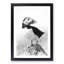 The Atlantic Puffin Bird - Framed Print-56921019-56921023