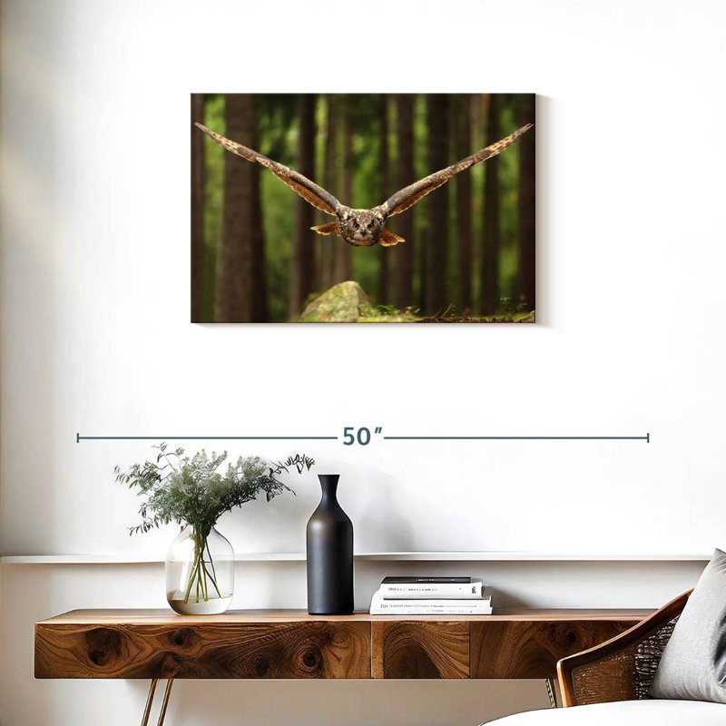 Crowle Owl Eurasian