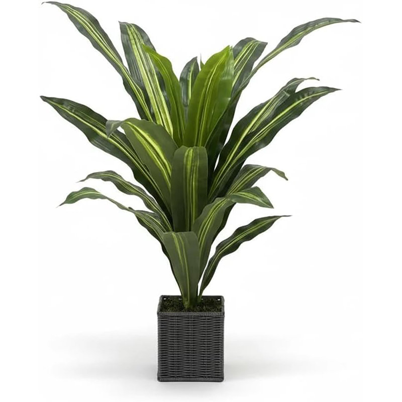 2PCS 3FT Artificial Dracaena Fragrans (Brazilian Iron Tree) with Vintage White Pot & Yellow Pebbles - Low-Maintenance Faux Plant for Indoor & Outdoor Home Office Decor