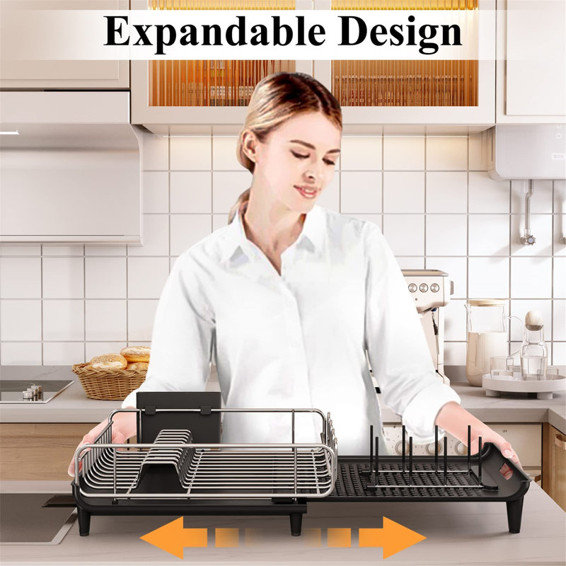 In Sink Dish Rack