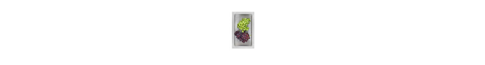 Precision/Quatrus Colander