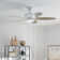 Nyxton 52'' Ceiling Fan with LED Lights