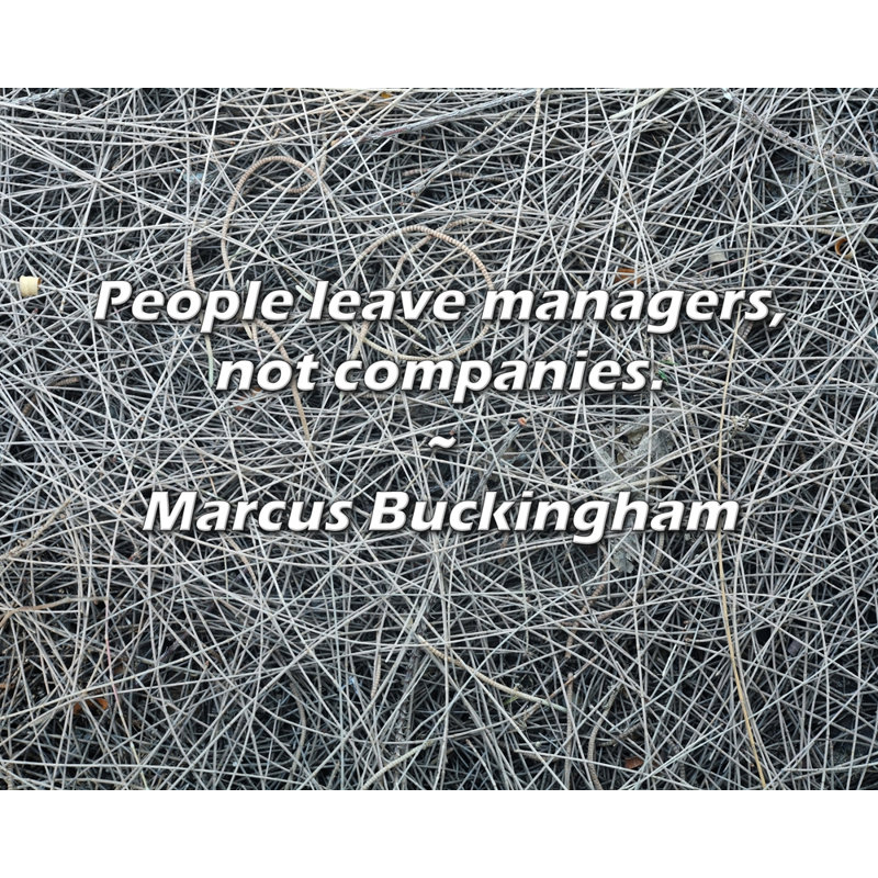 Marcus Buckingham Citation: Les gens partent des cadres, pas des entreprises., H 26 po x l 32 po