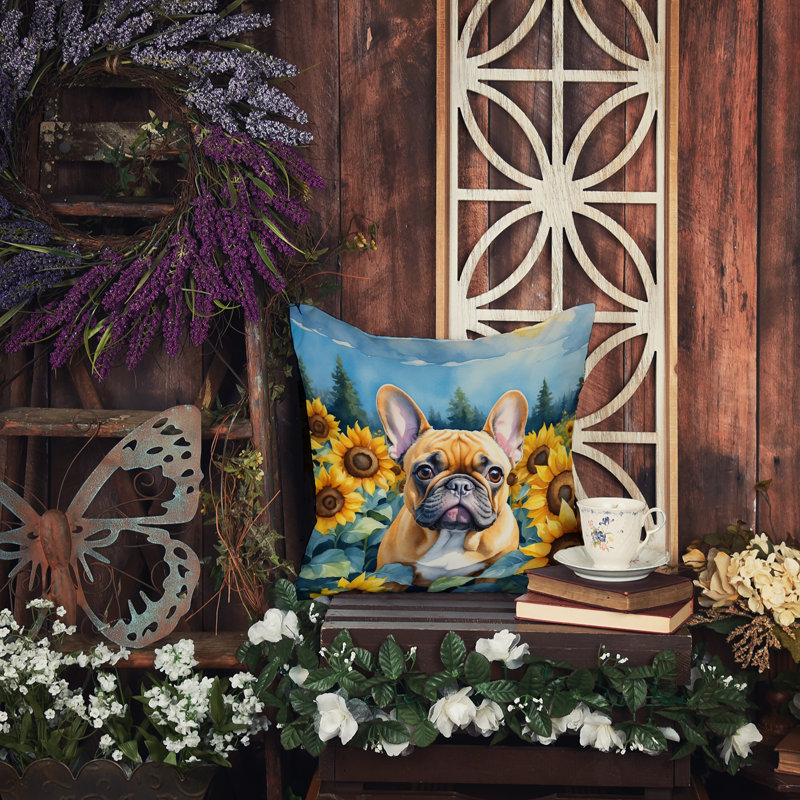 Other/No Pattern Outdoor Throw Pillow, 14"H x 14"W