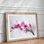 Orchid Flowers Vol.5 - Framed Print-62761601-62761604