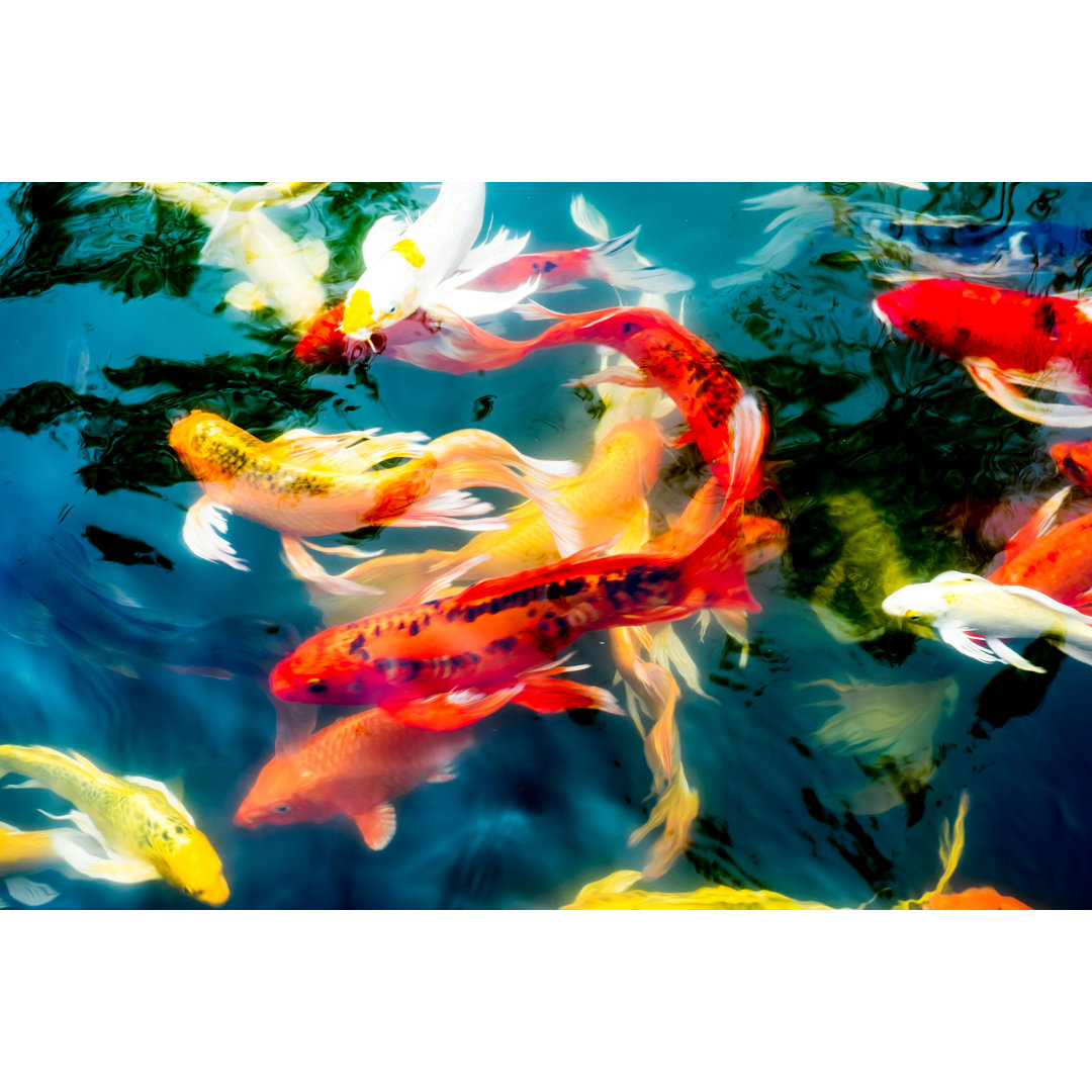 Koi Fish In Pond by Weedezign - Wrapped Canvas Photograph Bay Isle Home™ 