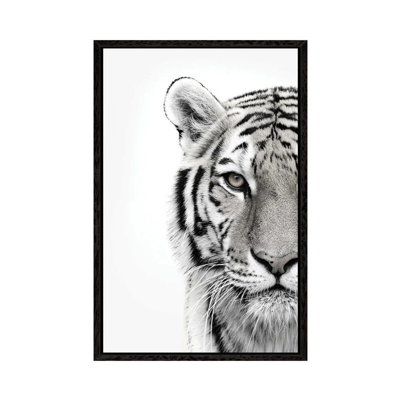 White Tiger - Print on Canvas, 66.04cm H x 45.72cm W x 3.81cm D, Black Framed