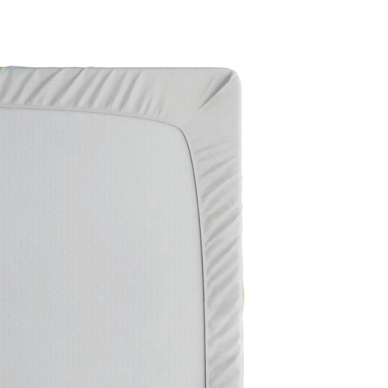 Ambesonne Science Fitted Sheet 2-Pack Cartoon Alphabet Queen Multicolor, California King Fitted Sheet